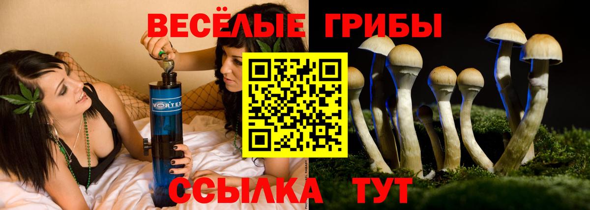 Миллерово  Псилоцибиновые грибы мицелий  Вход с VPN 